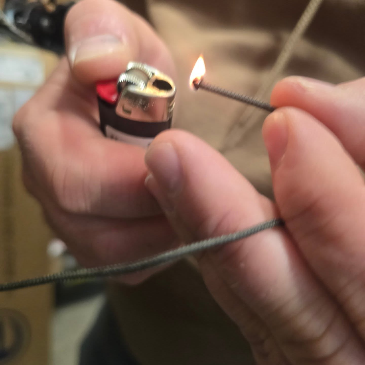 Complete Seasonal Bow Tune